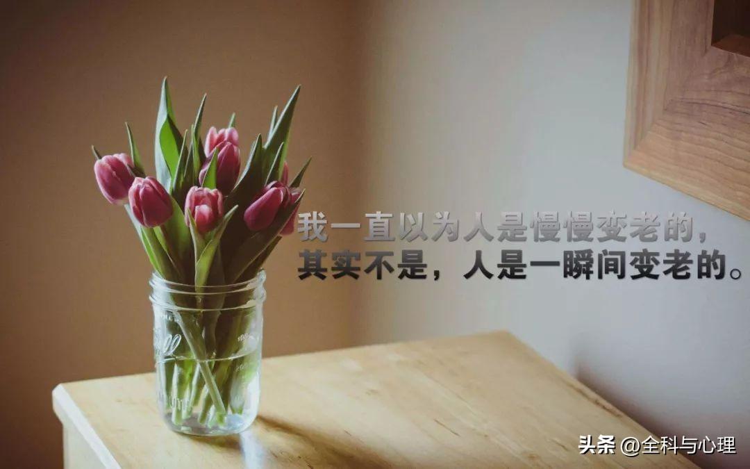 朋友圈早上自我激励的励志句子 句句充满哲理(图7)