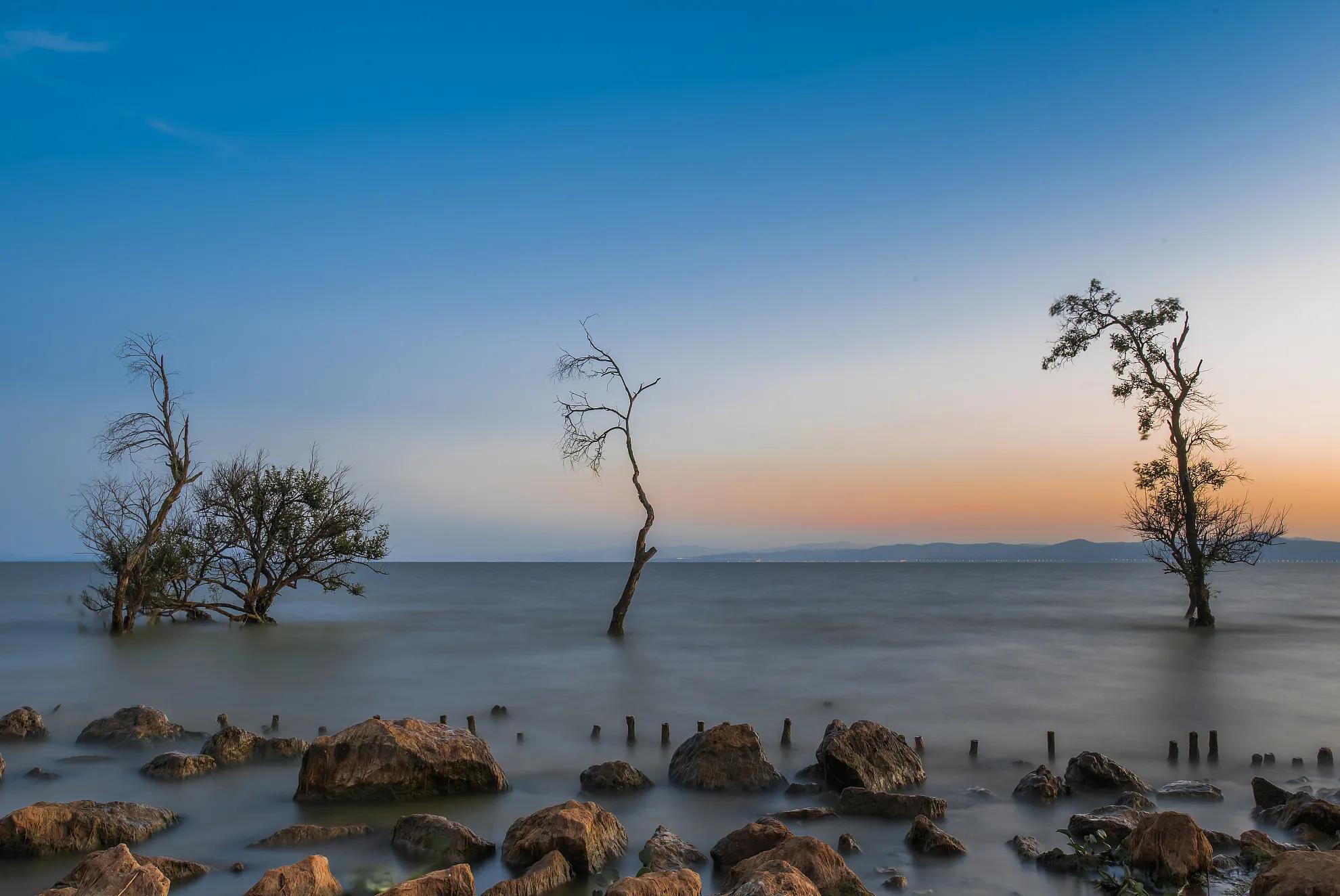 表达思念想念的句子有哪些？建议收藏(图4)