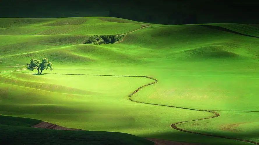 告别故土，踏上新征程，离家乡的心情感慨(图4)