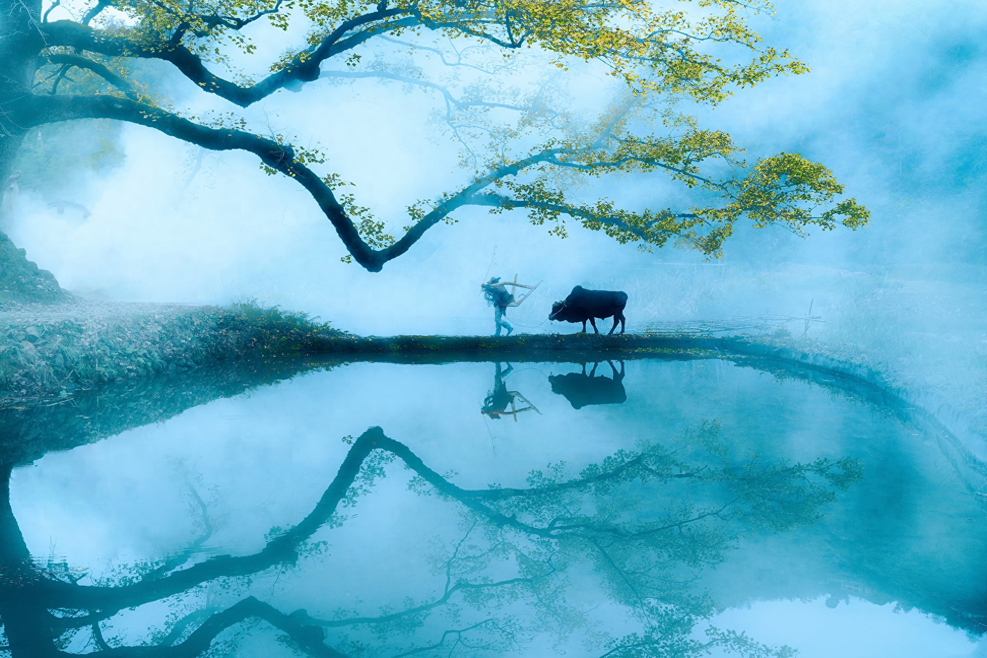 《围炉夜话》中10句经典格言，感悟人生，引人深思！(图6)