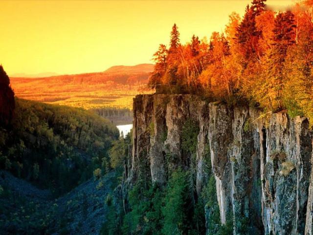 中外美术大师百句名言——句句受益(图6)