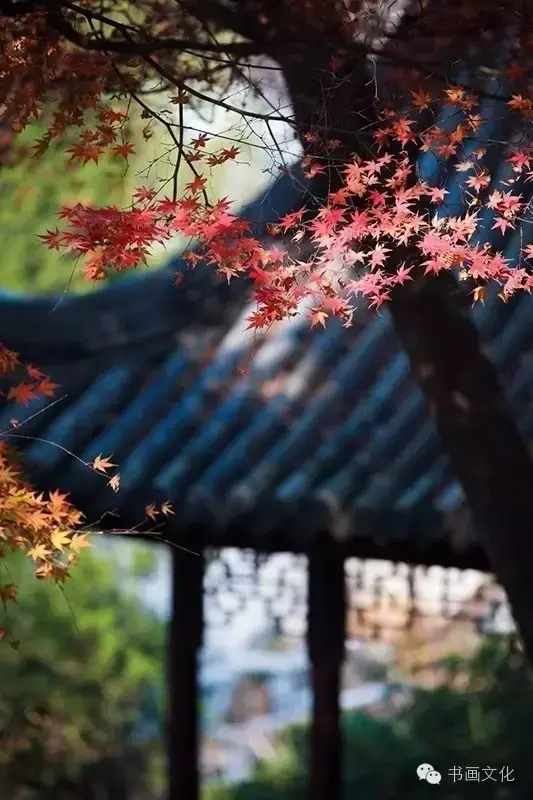 10句古语，看透人性，直指人心(图5)