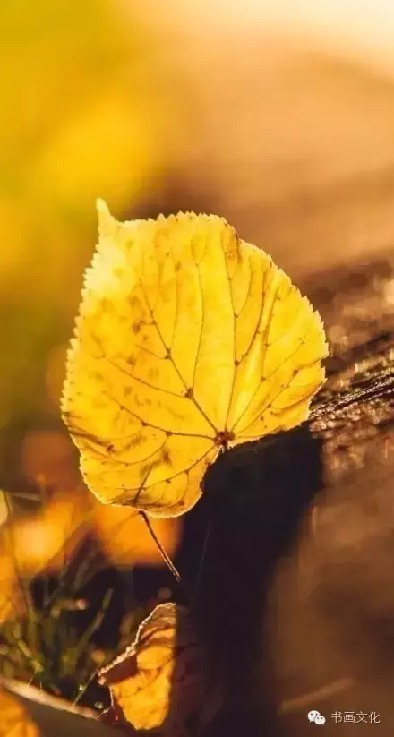 10句古语，看透人性，直指人心(图8)