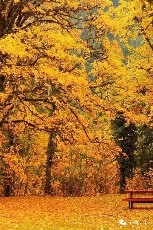 10句古语，看透人性，直指人心(图9)