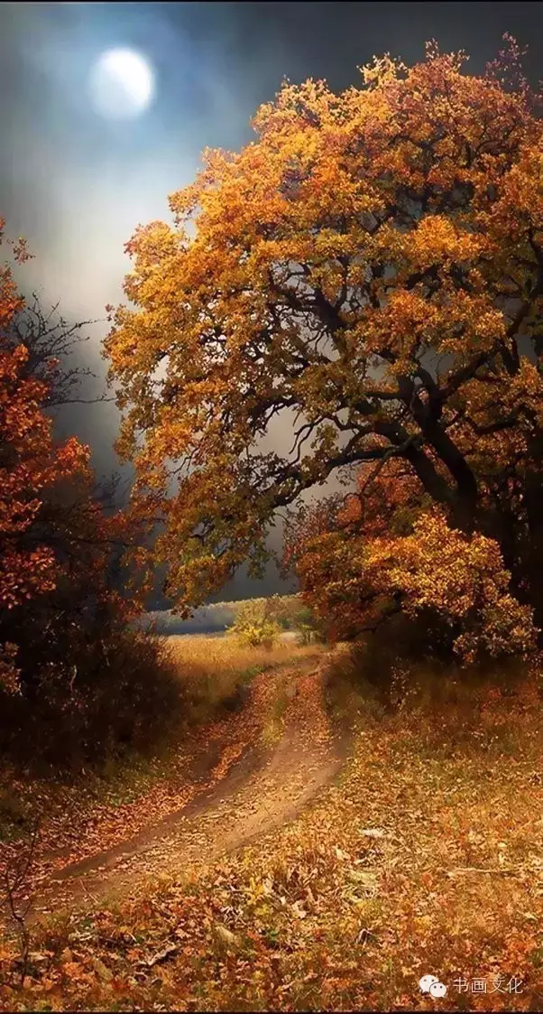 10句古语，看透人性，直指人心(图10)