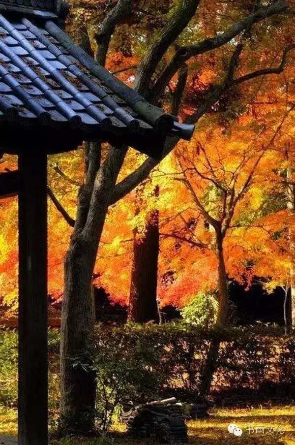 10句古语，看透人性，直指人心(图11)