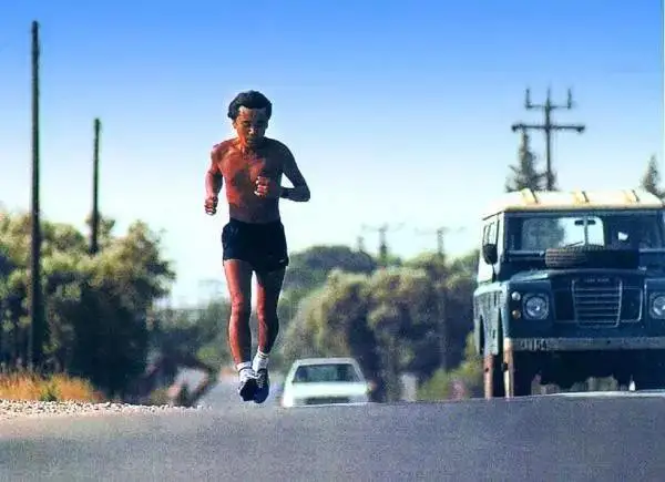 村上春树《当我谈跑步时，我谈些什么》：跑步中自有人生哲学(图4)