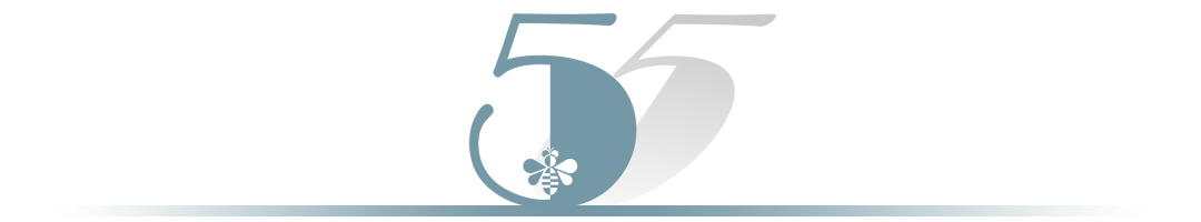 《当我谈跑步时我谈些什么》：读懂这5句话，也就读懂了人生的真相(图13)