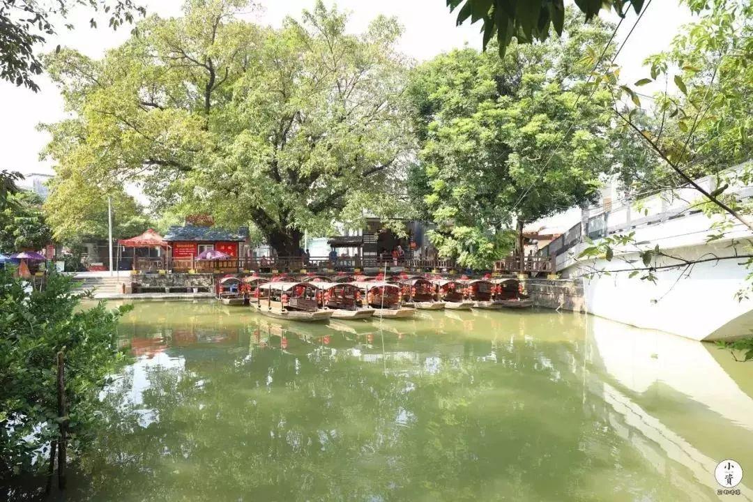 离广州1.5小时，藏着一个“广东周庄”，书香水韵，素净清纯(图5)