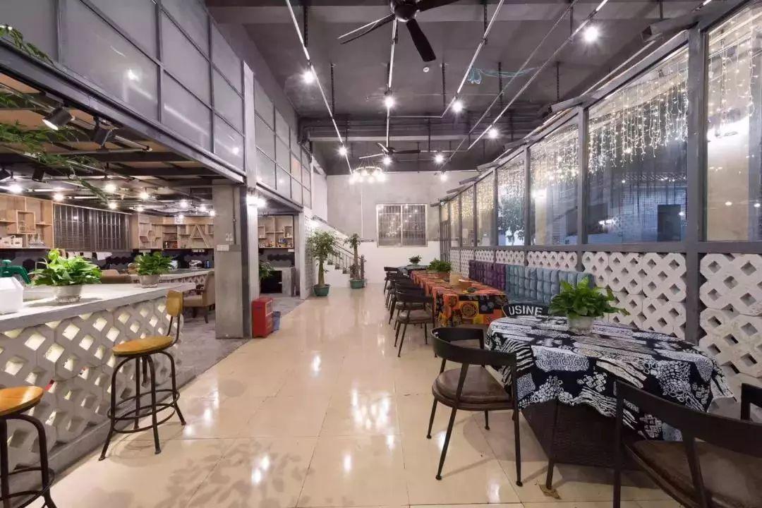 离广州1.5小时，藏着一个“广东周庄”，书香水韵，素净清纯(图9)