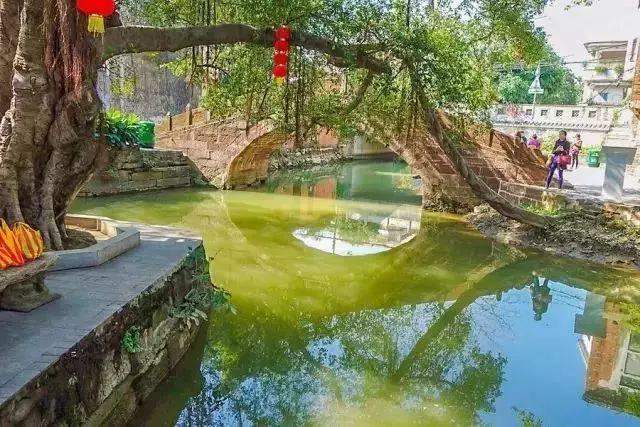 离广州1.5小时，藏着一个“广东周庄”，书香水韵，素净清纯(图16)