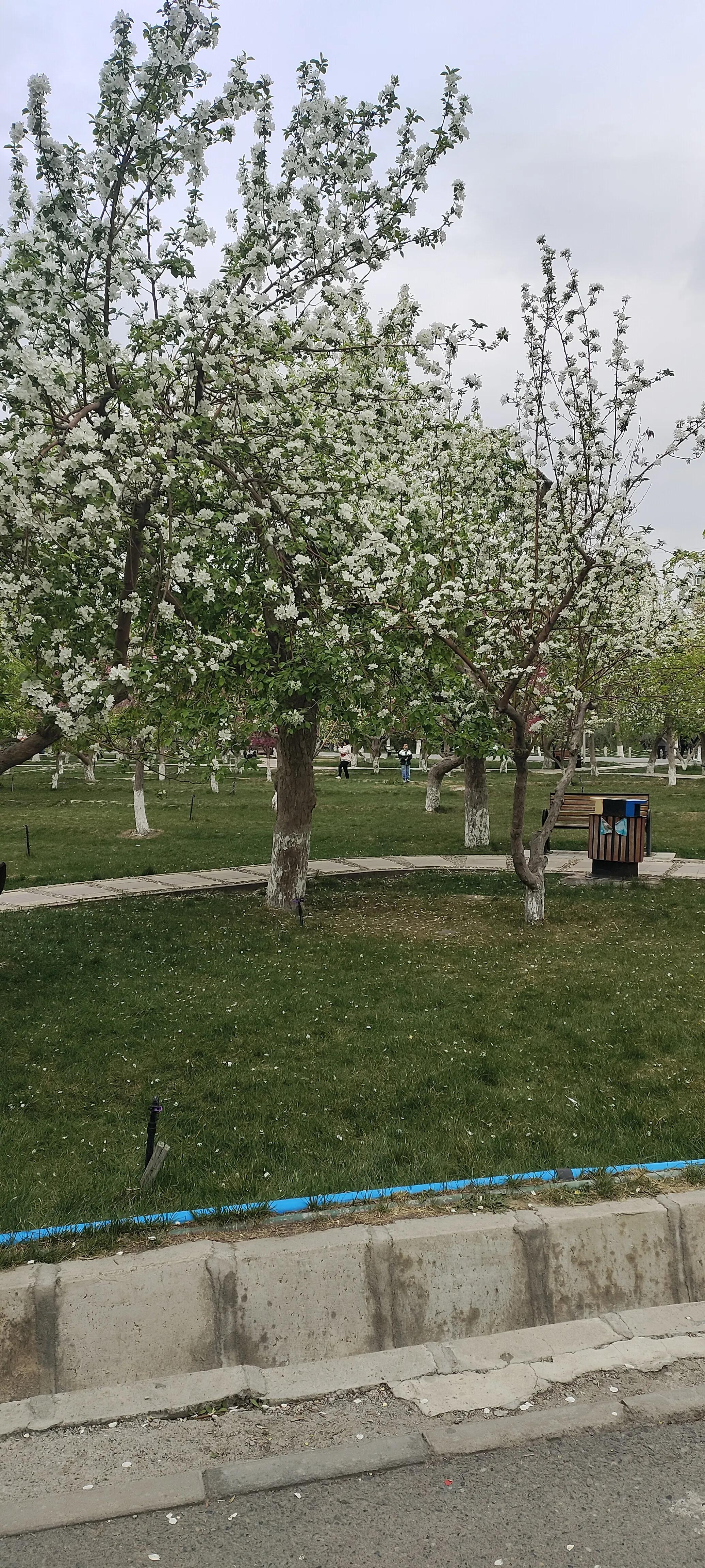 19句阳光向上的温暖文案(图1)