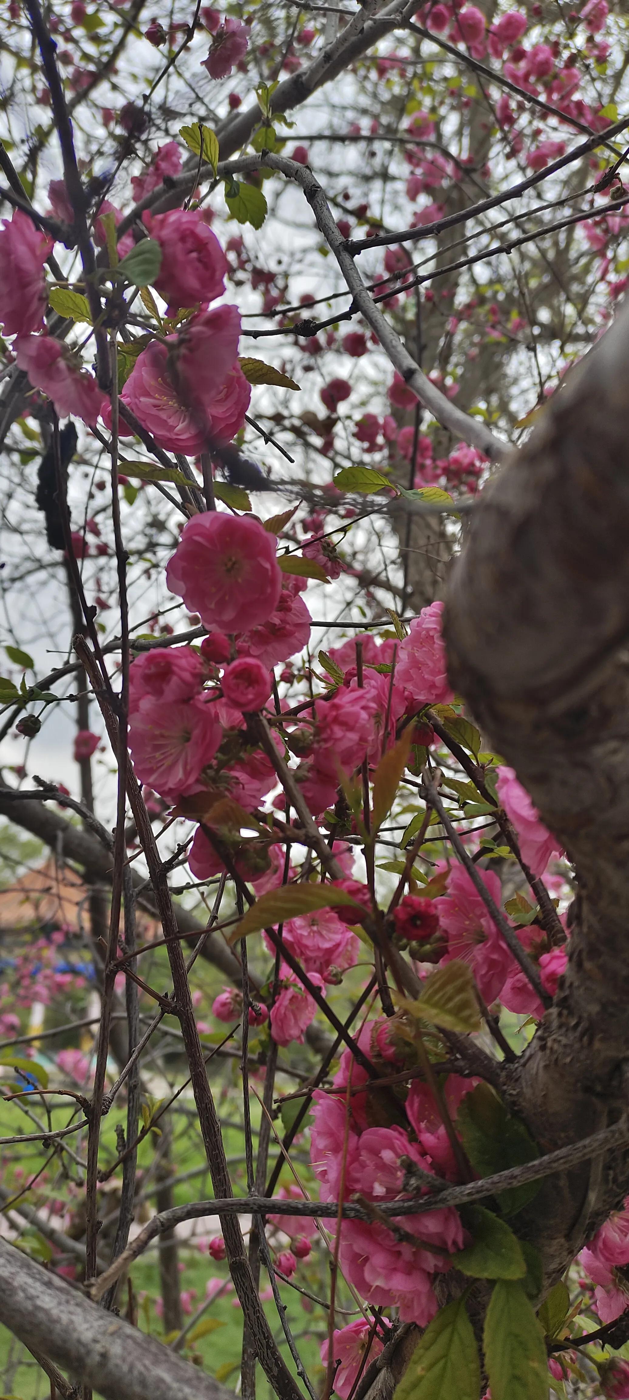 19句阳光向上的温暖文案(图2)