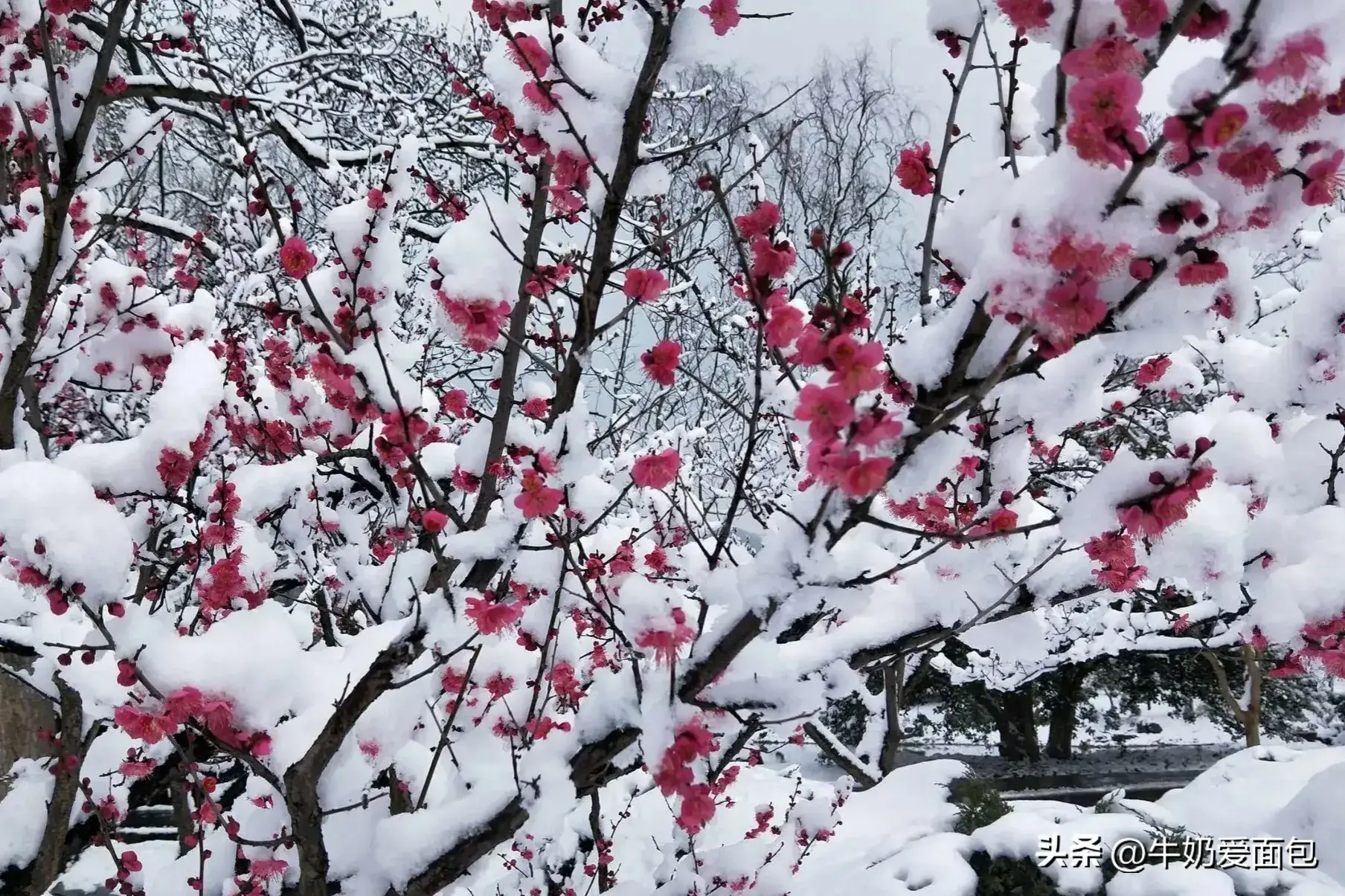 6首励志古诗词，致努力奋斗的你，不负韶华，不负自己(图1)