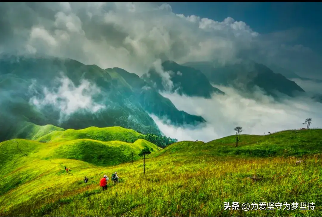 攀登才能揽胜，拼搏才能进取，奋斗才能成功。(图1)