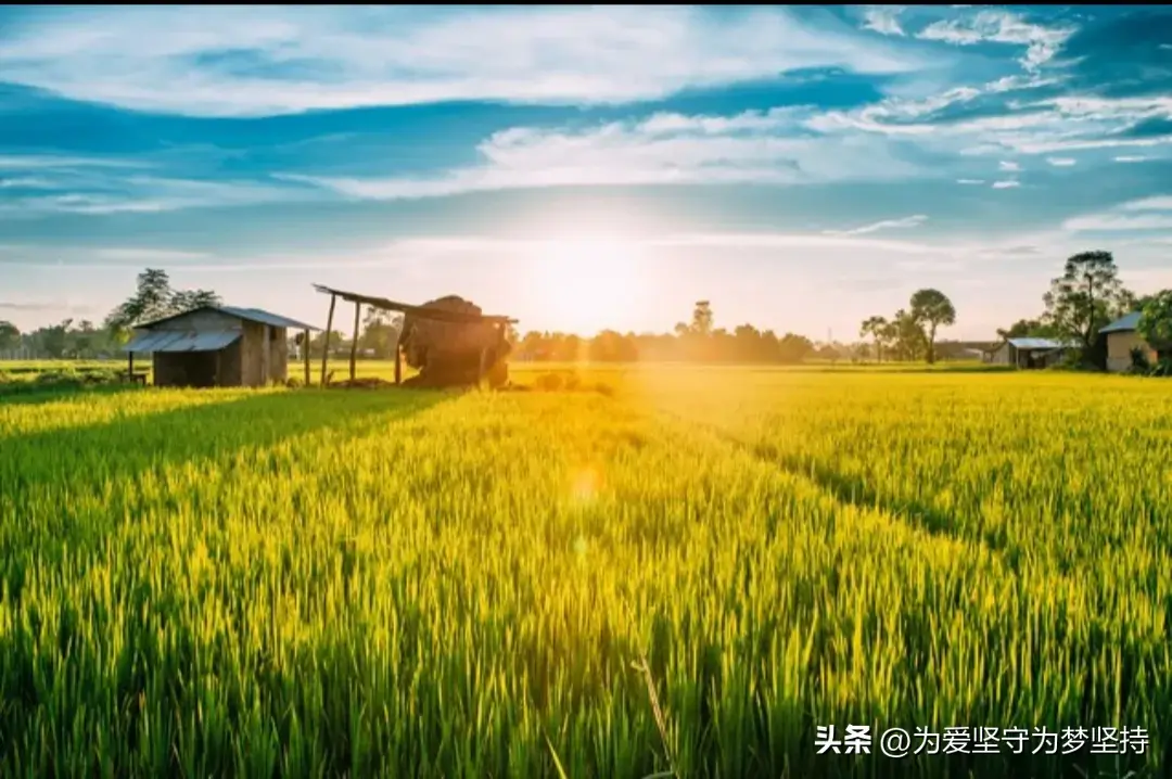 攀登才能揽胜，拼搏才能进取，奋斗才能成功。(图2)