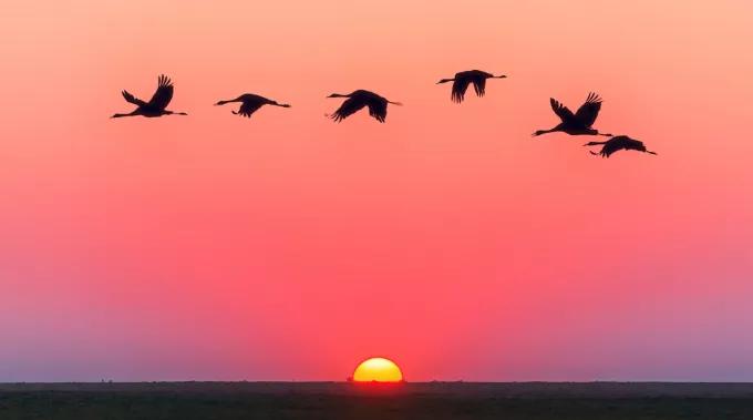 古今中外学习励志名人名言(图7)