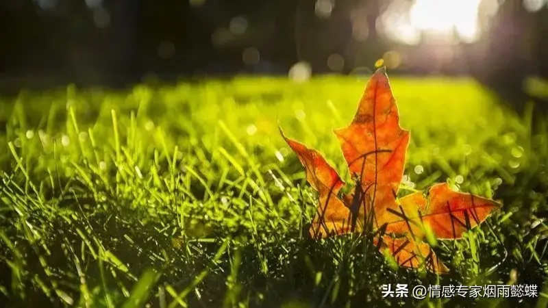 世间皆苦，唯有自渡，做自己的心理医生，你才能所向无敌(图1)