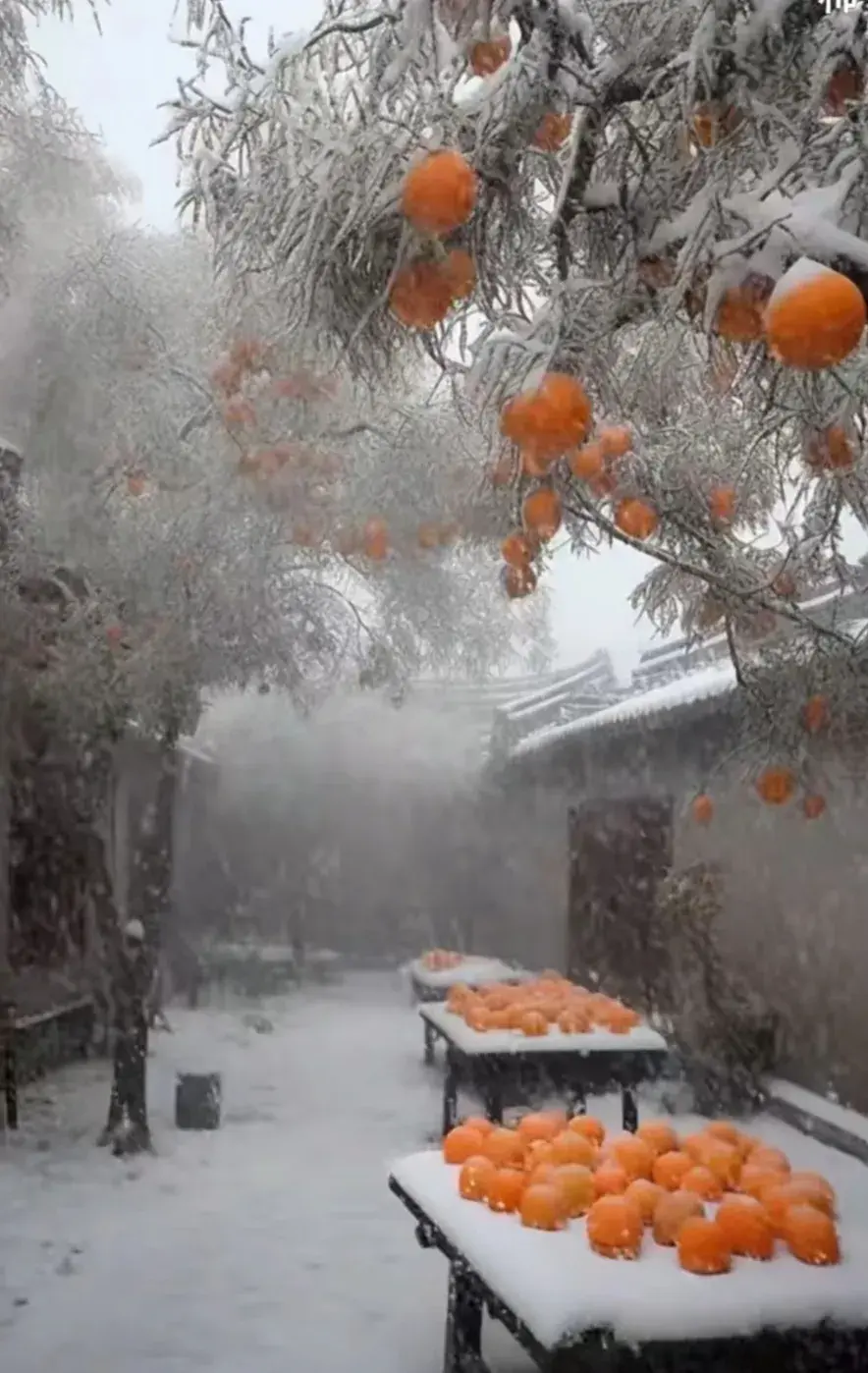 你见过命苦的人，到底有多苦？(图1)