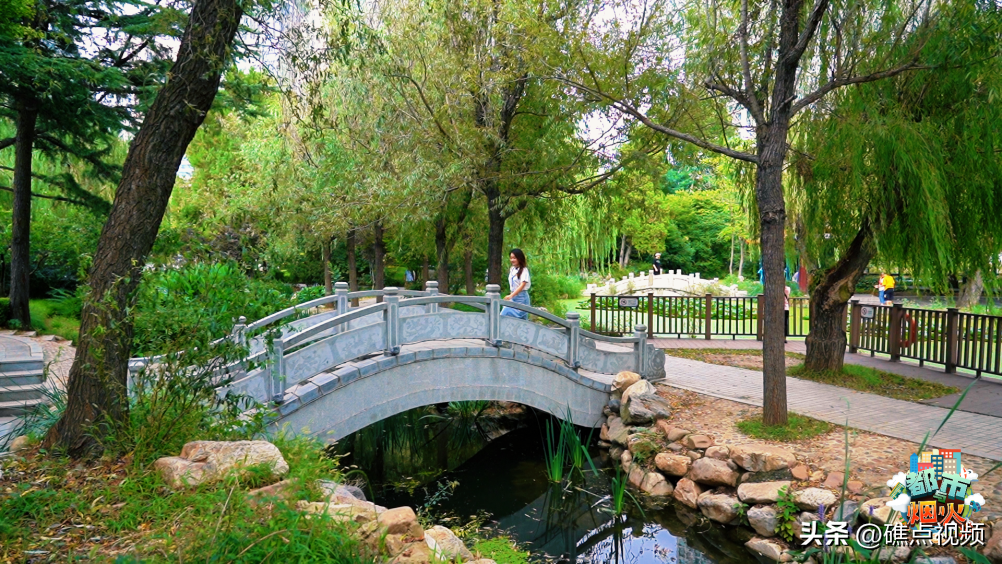 都市与烟火 | 景在 人在 自由在(图6)