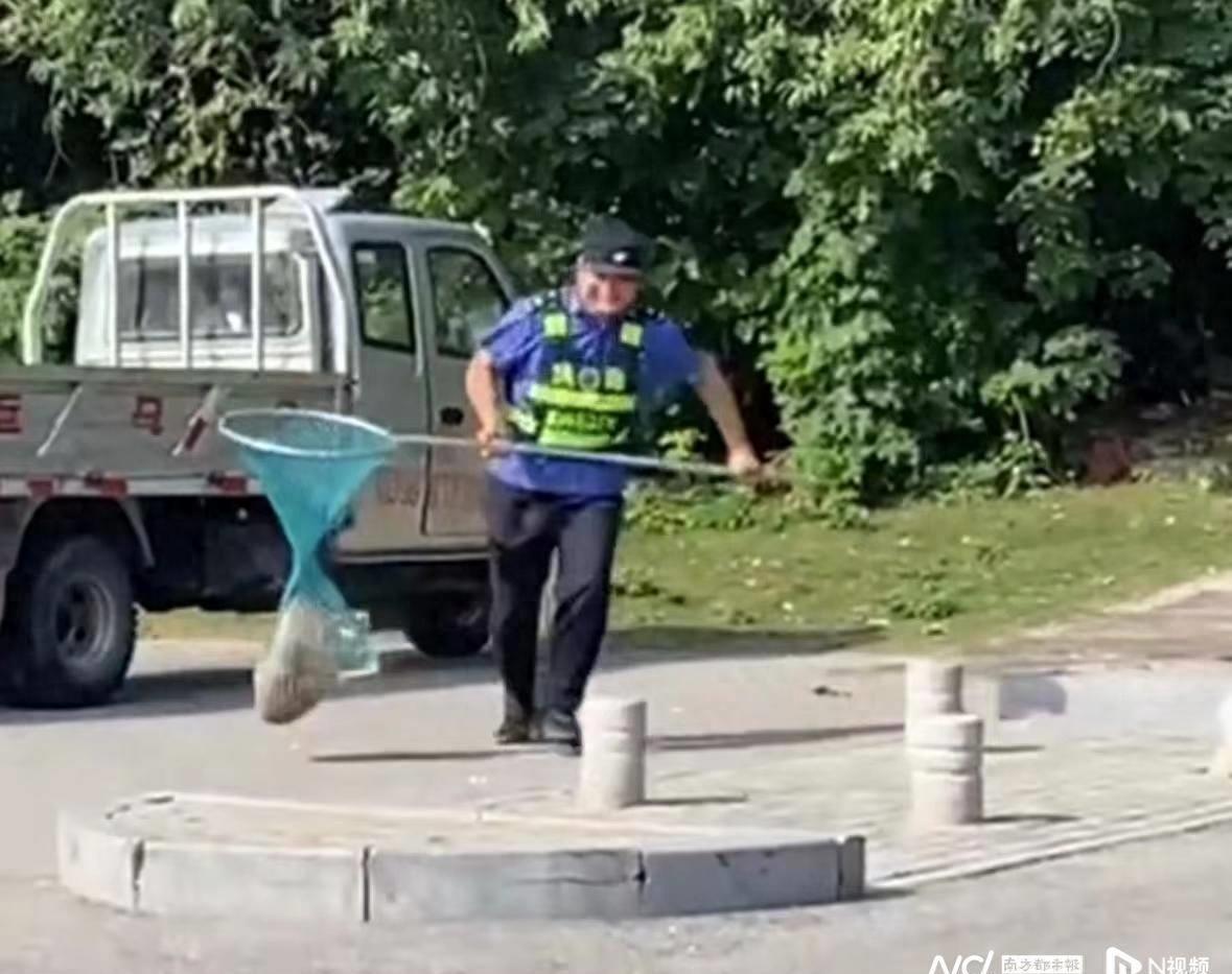 自律遛狗，让城市更美好(图1)