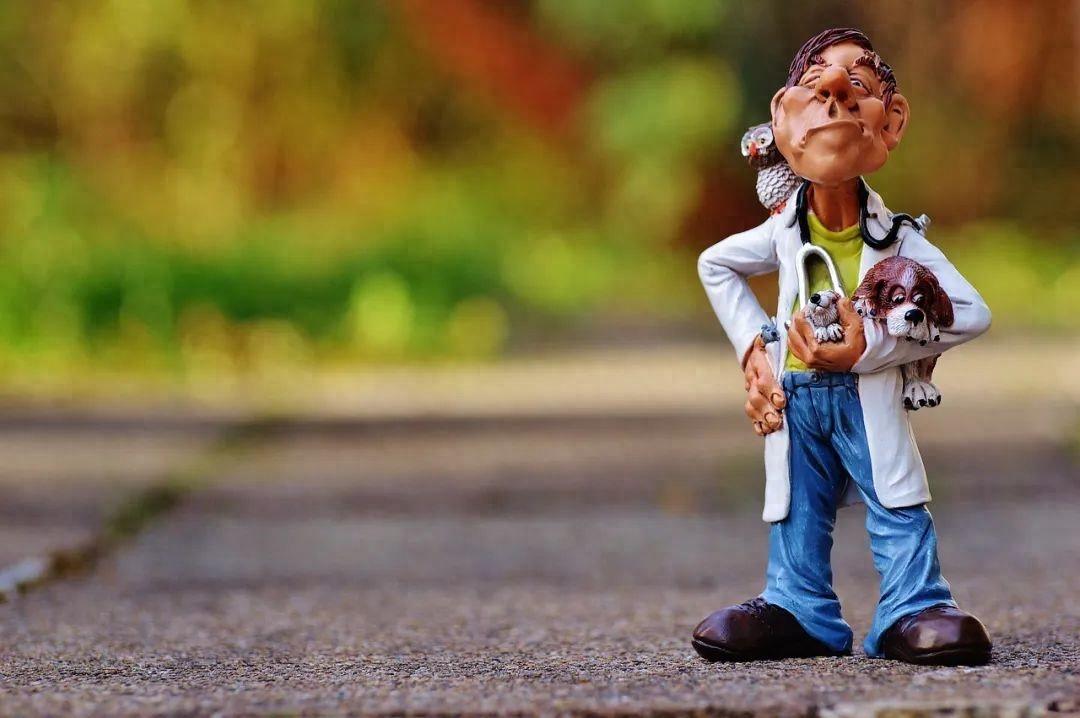 生活那些阳光又温柔的高级文案(图1)