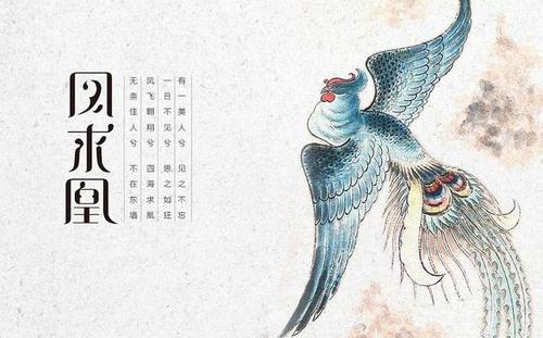 不能外出，无法见面的情人节，这样说“我爱你”，美到让心融化(图10)