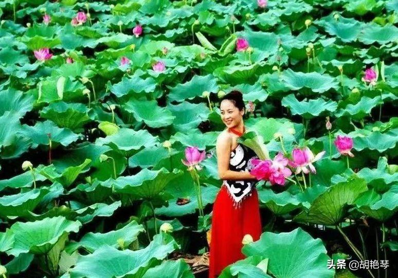 12首诗词，12个劳动场景，致敬所有劳动者(图7)