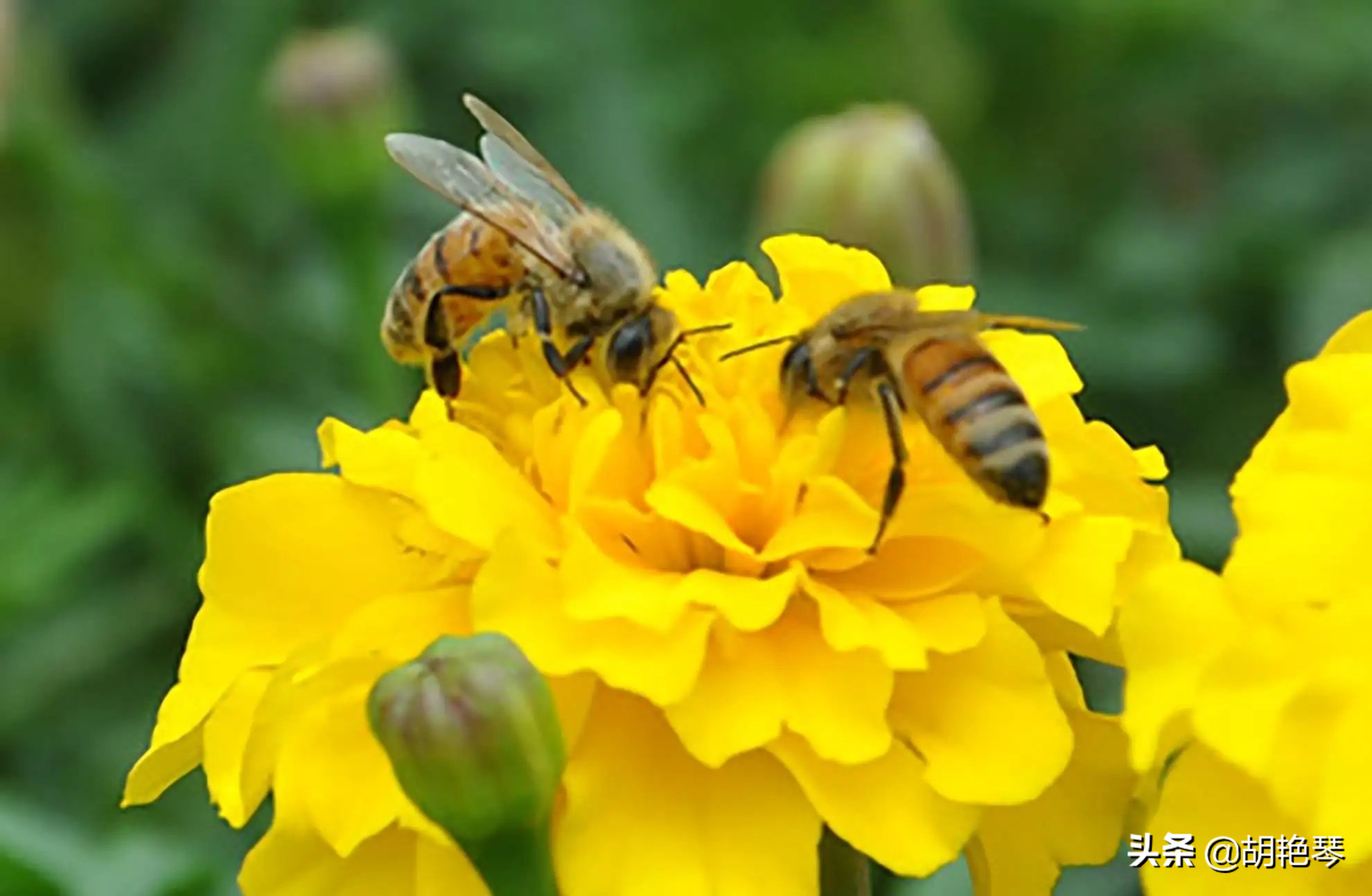 12首诗词，12个劳动场景，致敬所有劳动者(图8)