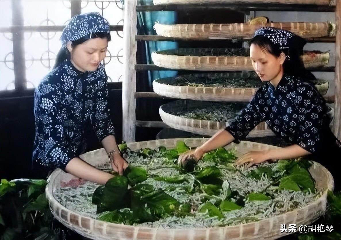 12首诗词，12个劳动场景，致敬所有劳动者(图9)