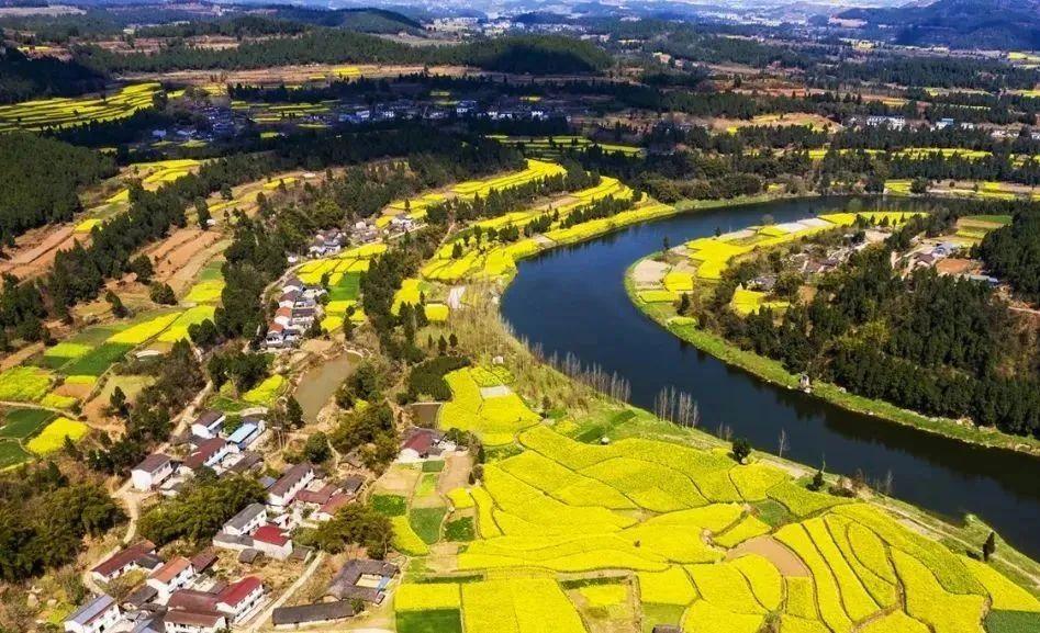 即刻啓程，向著浪漫花海雙東出發！(图4)