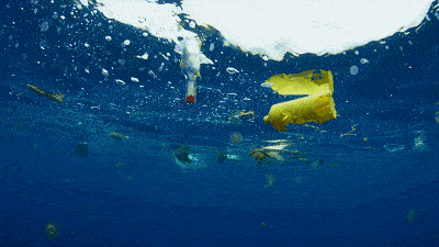 即刻启程，向着纯净的深蓝出发(图2)