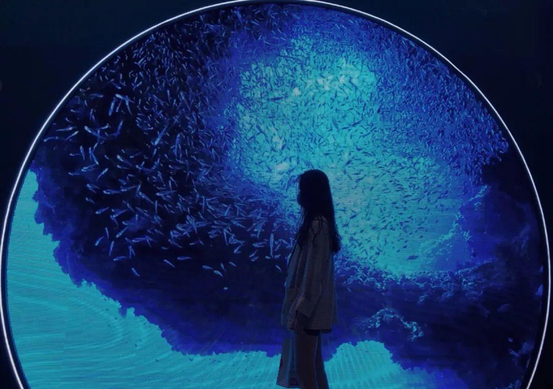 即刻启程，向着纯净的深蓝出发(图8)