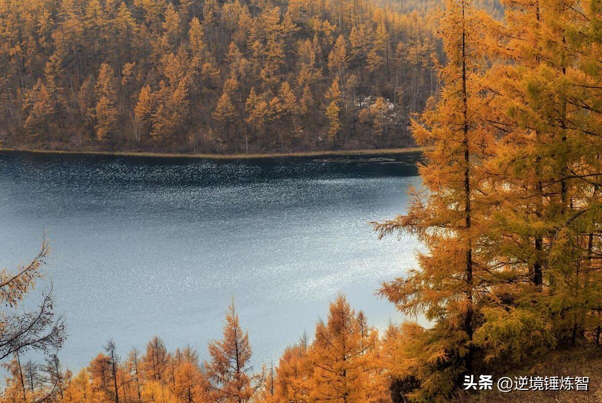 5个感悟！人生，就是如此！(图4)