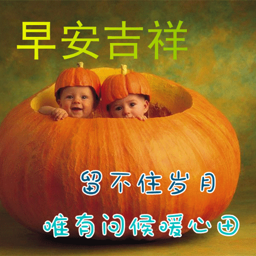 早安心语｜时光荏苒，岁月如梭，珍惜每一个瞬间，感受生活的美好(图2)