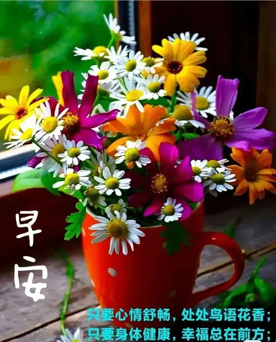 早安心语｜时光荏苒，岁月如梭，珍惜每一个瞬间，感受生活的美好(图10)