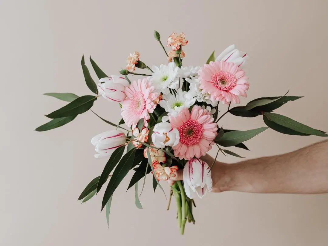 “人面桃花相映红”，这些春天吟的诗，中英文都太美了(图4)