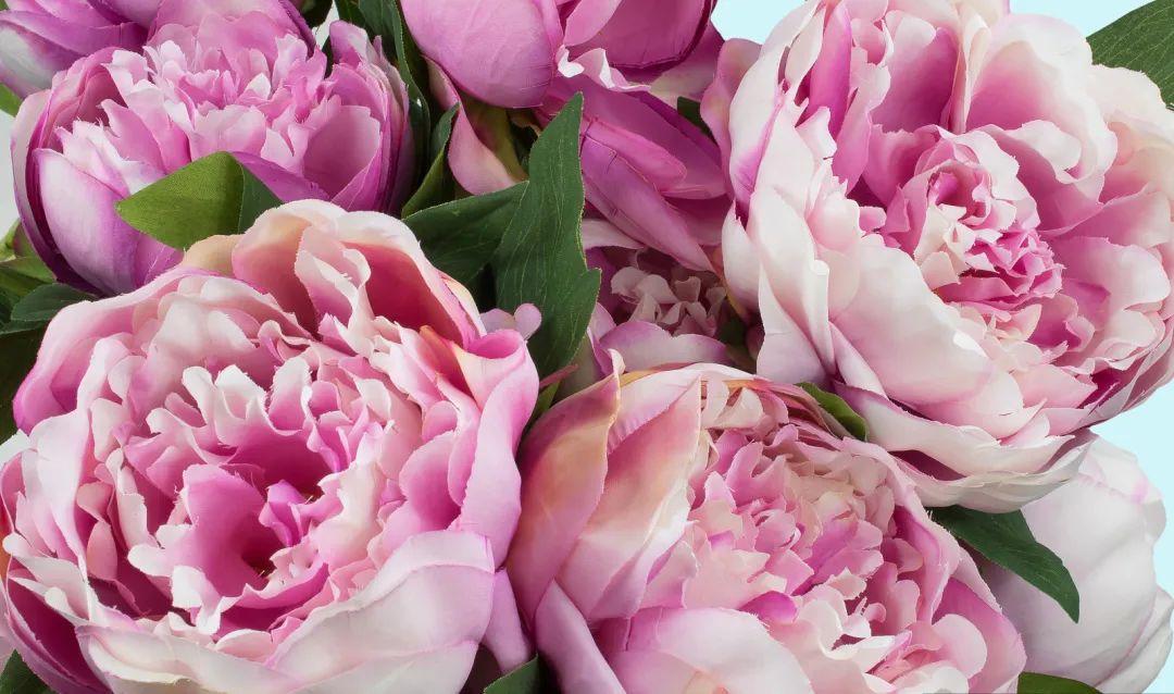 “人面桃花相映红”，这些春天吟的诗，中英文都太美了(图22)