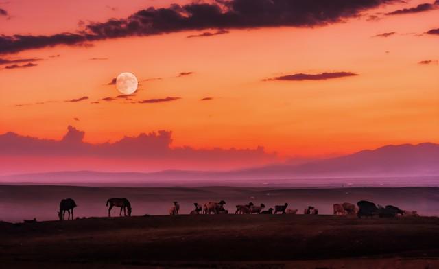 激励人心的英语名句励志简短60句(图2)