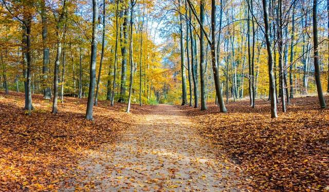 激励人心的英语名句励志简短60句(图3)