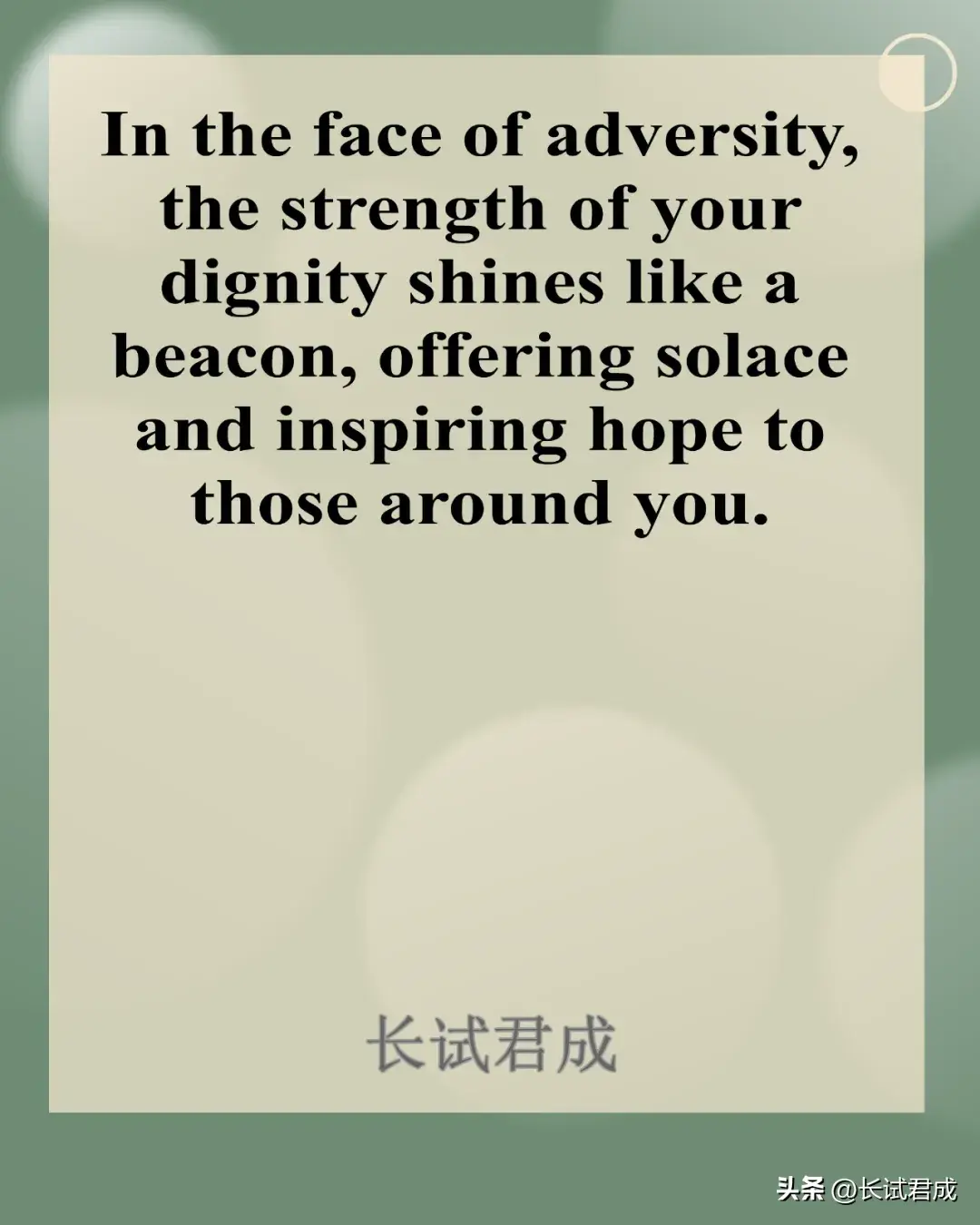 英语励志文案 | Adversity(图1)