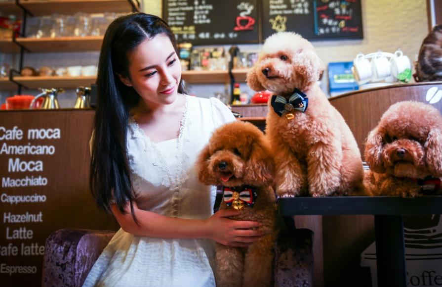 撩妹套路聊天一问一答，幽默的对话，深入她的内心(图4)