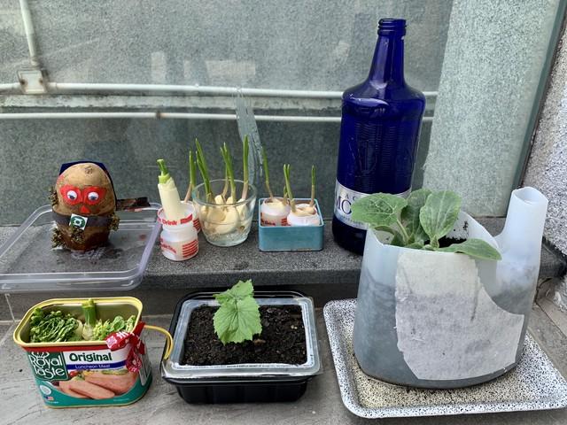 10个励志名言，说出生活的真相，很有力量(图1)