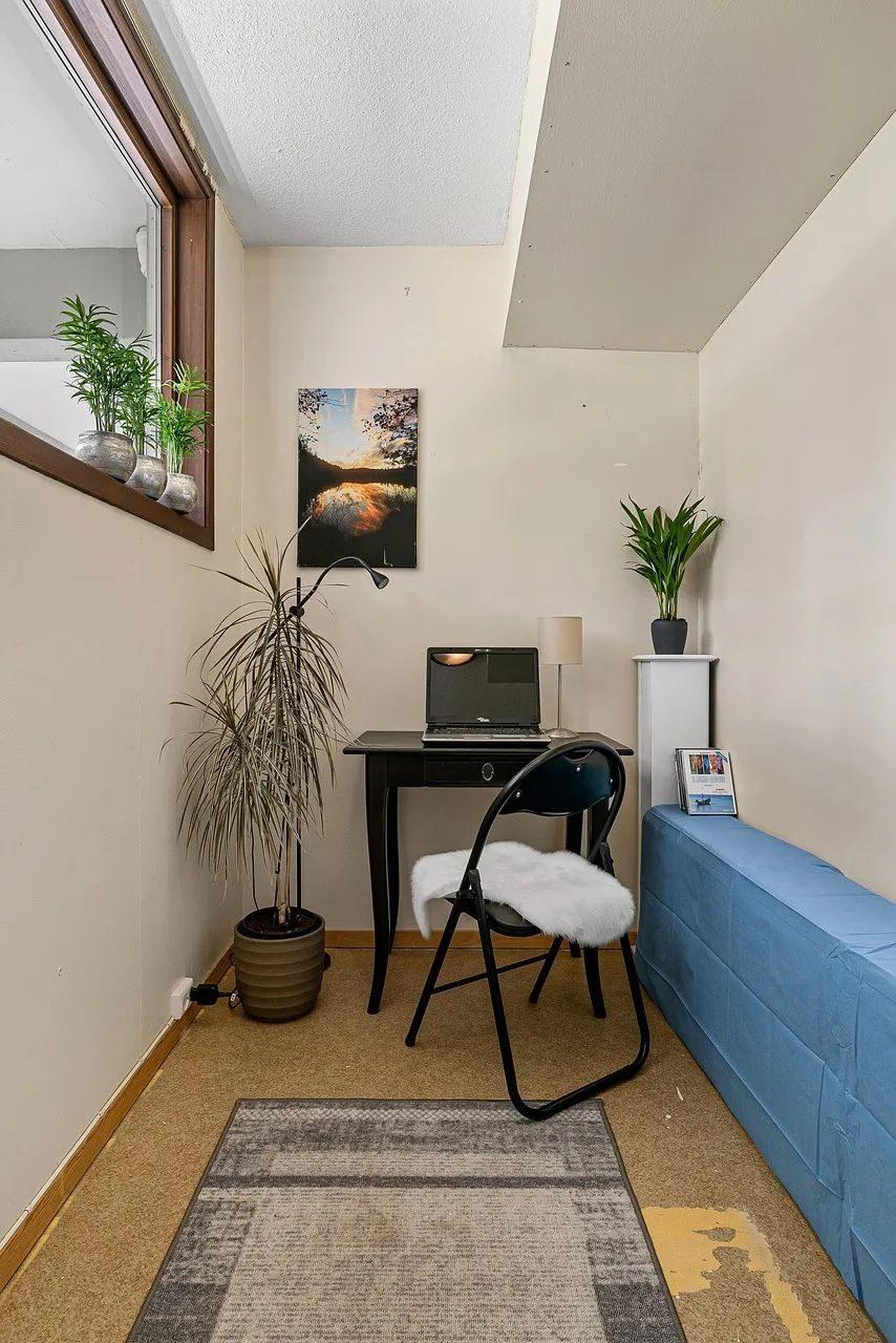 祝六月有鲜花，有彩虹，日月不缺，星辰不落，每一天都能闪闪发光(图10)