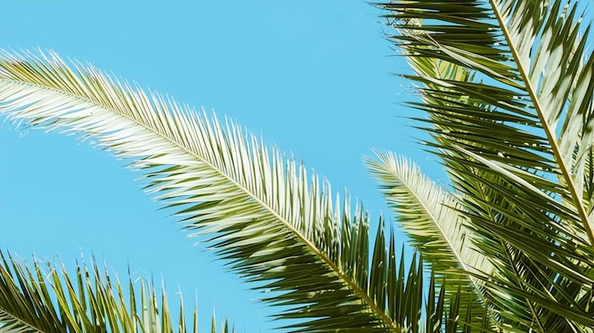 【好文分享】那些“黄金搭档”产生的经典歌曲，是无数人的回忆！(图3)