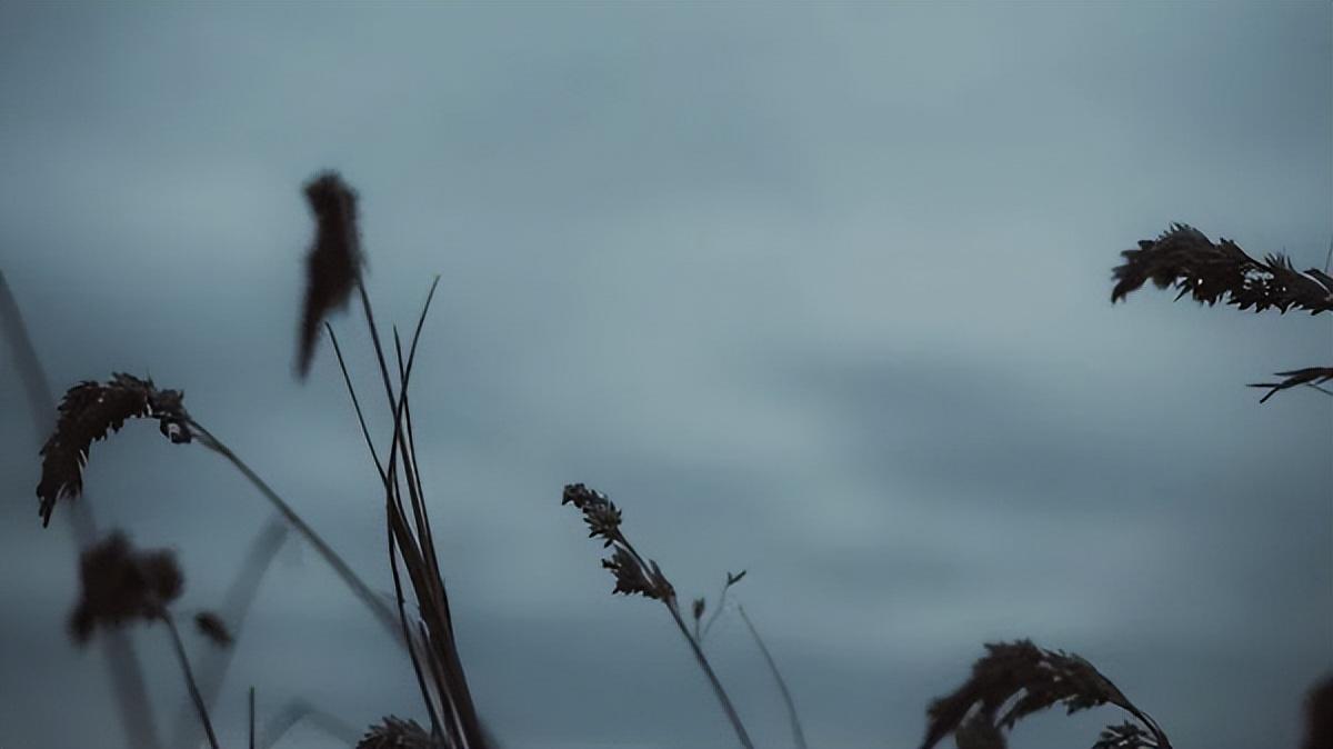 【好文分享】那些“黄金搭档”产生的经典歌曲，是无数人的回忆！(图5)