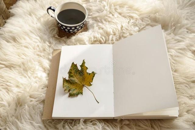 学习励志文案(图4)