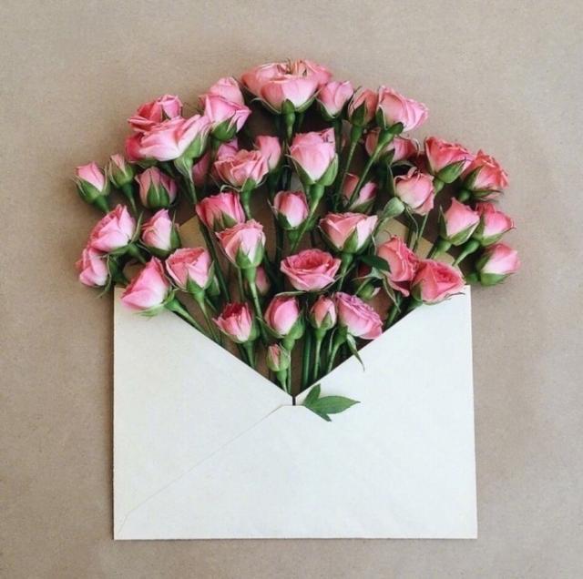 朋友圈干净治愈的小句子，句句经典入心(图1)