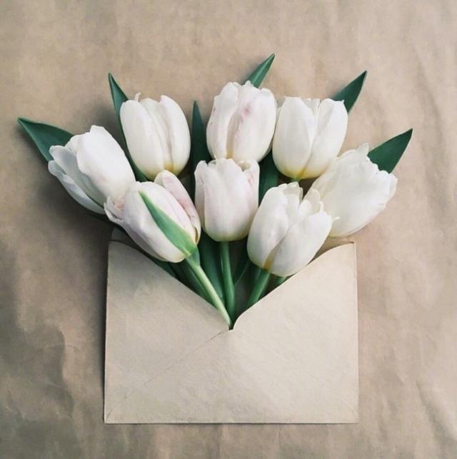 朋友圈干净治愈的小句子，句句经典入心(图2)