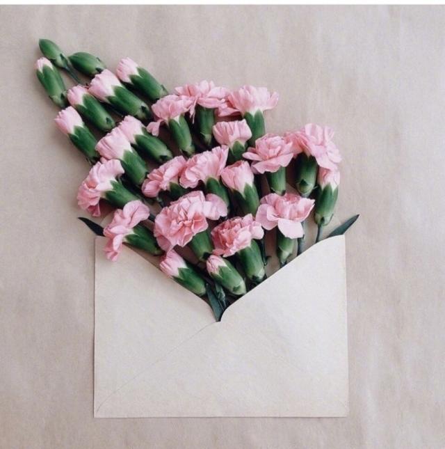 朋友圈干净治愈的小句子，句句经典入心(图3)